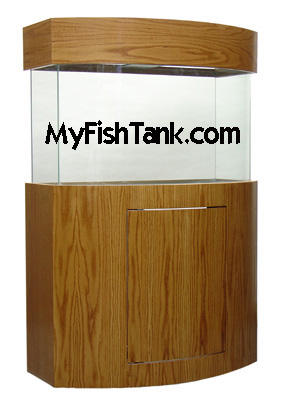 Bowfront Aquarium Stand and canopy