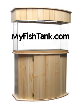 Bowfront Aquarium Stand and canopy